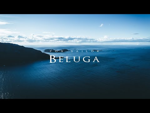 Fox Sailor - Beluga (Official Audio)