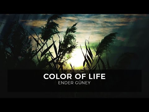 Color of Life - Ender Güney (Official Audio)