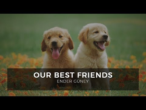 Our Best Friends - Ender Güney (Official Audio)