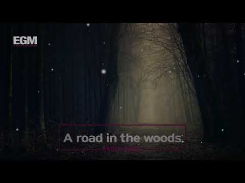 A road in the woods - Ender Güney (Official Audio)