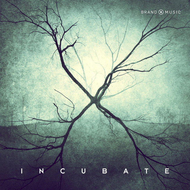 Nuevo álbum de Brand X Music: Incubate