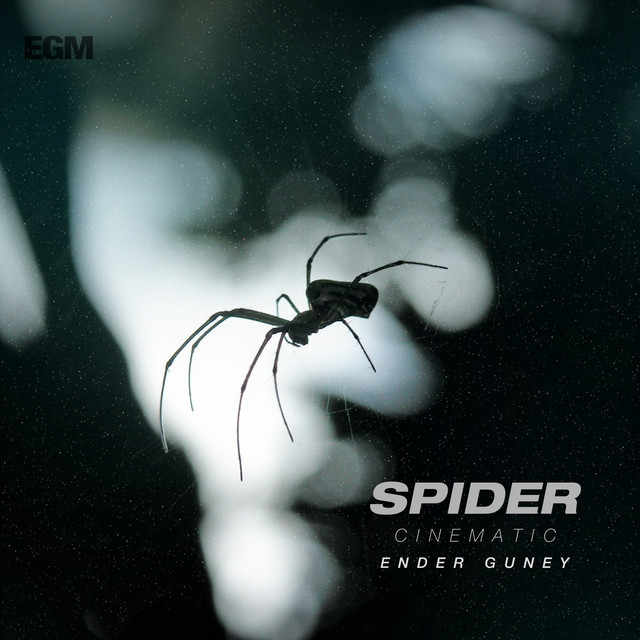 Nuevo single de Ender Güney: Spider