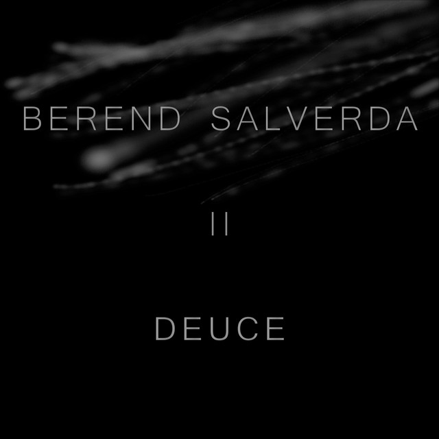 Nuevo álbum de Berend Salverda: Deuce