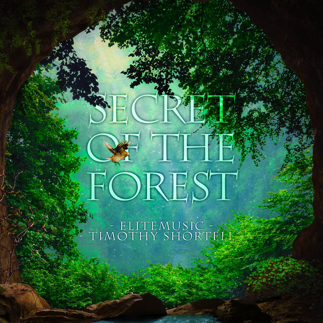 Nuevo single de Timothy Shortell: Secret of the Forest